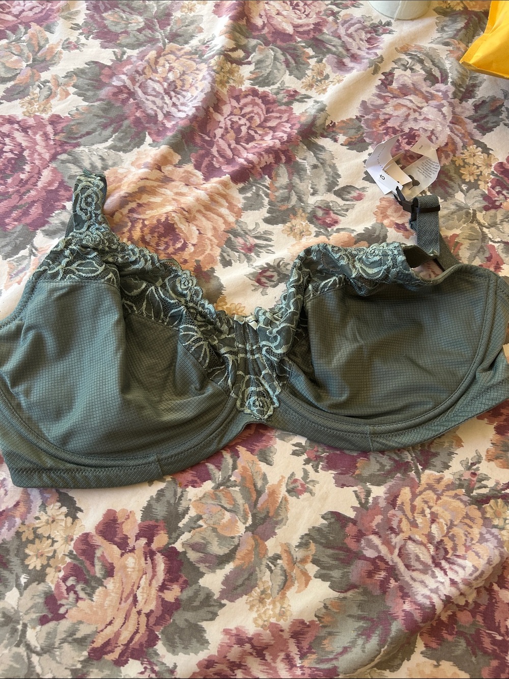 NWT Change Green Lace-Trim Florence Underwire Bra Size US 32N. EUR 70N